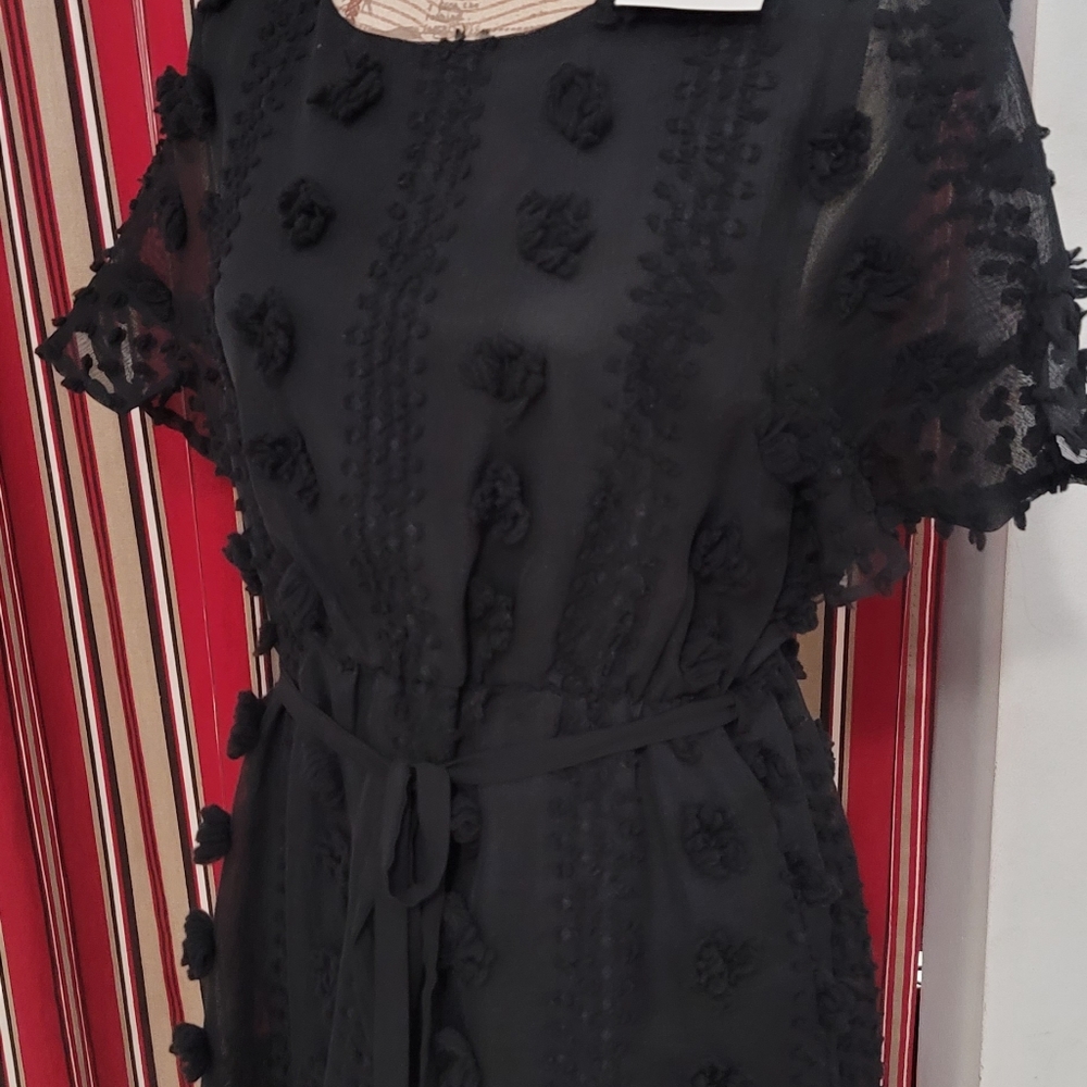 Dress - Picture 8 of 8